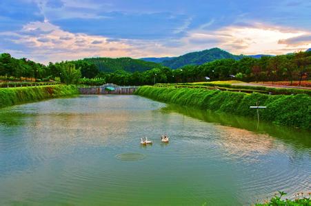 重磅|2017家庭農(nóng)場、農(nóng)民合作社，龍頭企業(yè)將獲國家政策支持