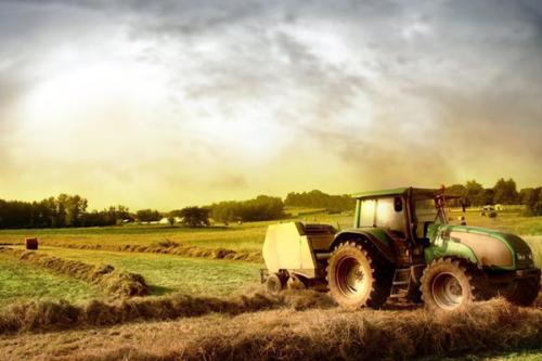 「十萬個農場主」：獲得天使輪融資，社區支持農業備受資本青睞