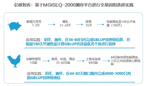 深?度解讀《2022年中國(guó)農(nóng)業(yè)分子育種行業(yè)發(fā)展白皮書(shū)》，分子育種未來(lái)可期