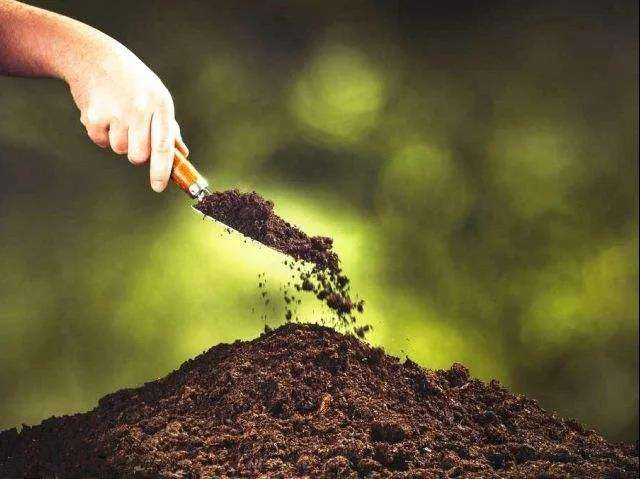 新一輪千億斤糧食產能提升行動在即，鉀肥供給或迎來大高潮（附報告分析）