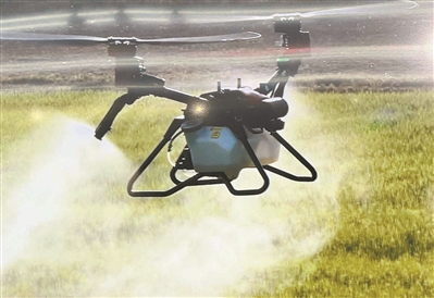 “國字頭”農交會緣何“牽手”廣州？