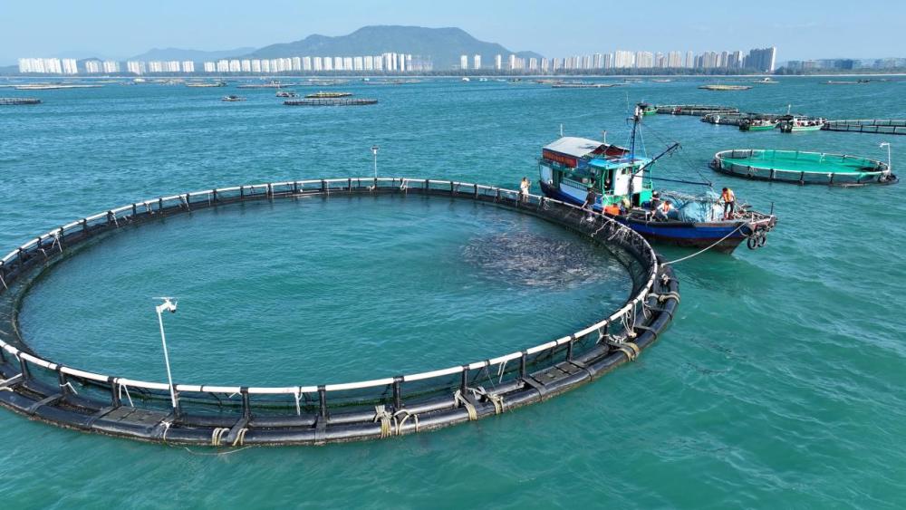 海陸并進(jìn) 陵水農(nóng)業(yè)向深圖強(qiáng)