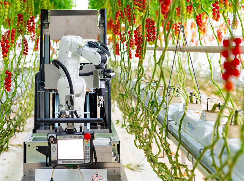 電裝與Certhon推出全自動收割機器人,助力全球農業可持續發展