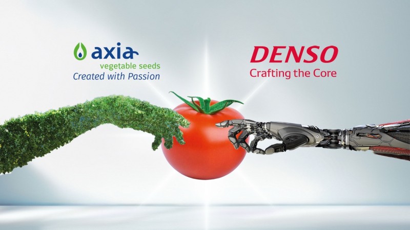 電裝收購Axia Vegetable Seeds全部股份，助力構建可持續農業體系