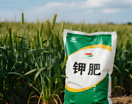 糧食安全的命脈：解析中美鉀鹽戰(zhàn)略，鉀資源成為國家戰(zhàn)略安全的重要支點(diǎn)