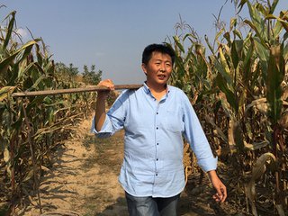 案例｜淘寶開(kāi)網(wǎng)店賣(mài)農(nóng)產(chǎn)品，成為馬云的朋友，王小幫如何華麗蛻變？