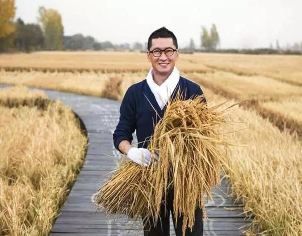 90%的五常大米造假！電商們搞溯源，這位跨界明星搞特供