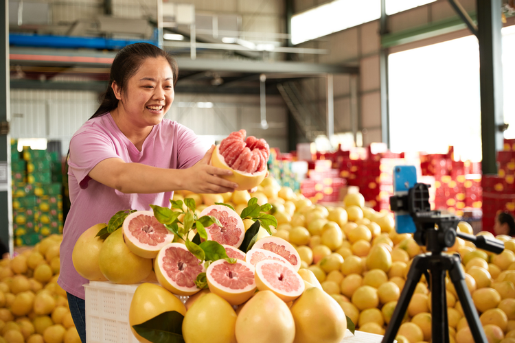 【產業解讀】中國農村電子商務發展報告（2021-2022）