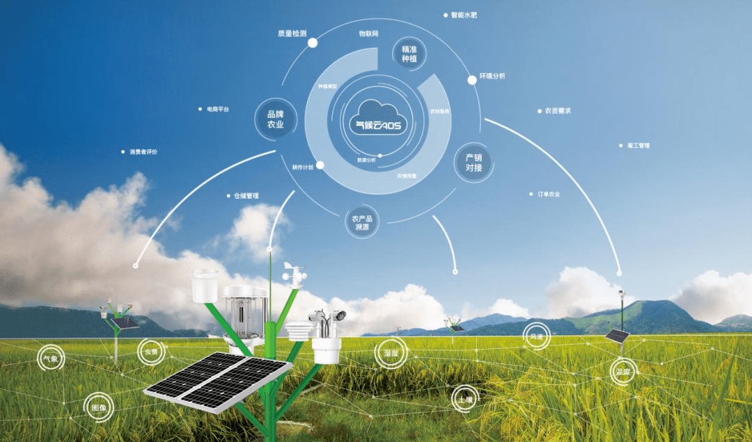 【報告分析】2022 縣域數字農業農村電子商務發展報告