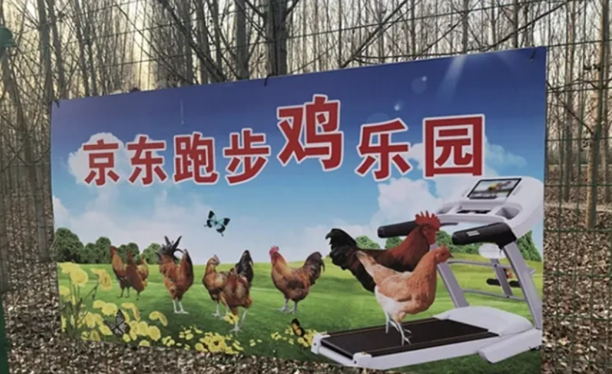 京東“跑步雞”電商扶貧+追溯的創新模式