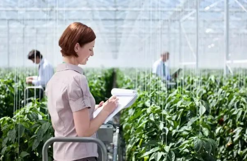 農(nóng)村電商：進入3.0時代，不是建群而是建網(wǎng)！