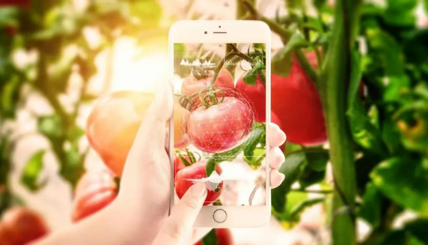 深度拆解！農村電商的困境、原因與出路分析