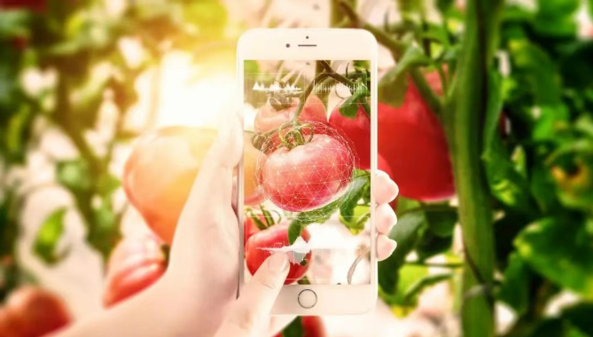 【農村電商】深度拆解！農村電商的困境、原因與出路