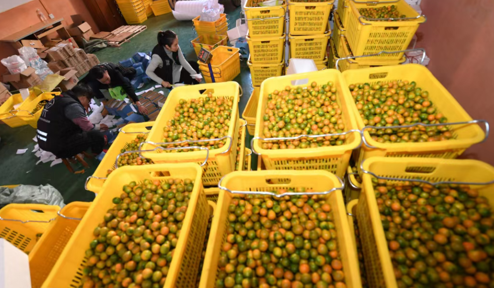 【農村電商】2025年農村電商十大趨勢與十一個典型案例