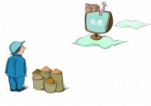 農(nóng)村電商如何應(yīng)對發(fā)展瓶頸？