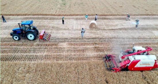 三農日報|政策：推動農業勞作智能化；券商：農業數字化關鍵是農業規模