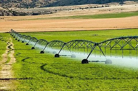 探究！美國農(nóng)業(yè)的另類模式：農(nóng)業(yè)科技服務(wù)