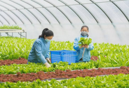 三農(nóng)日報|政策：擴大智能農(nóng)機購置補貼范圍；植物人造肉市場規(guī)模或達千億