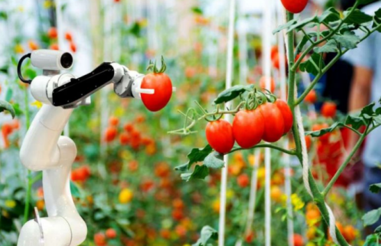 三農(nóng)日報|政策：加快農(nóng)業(yè)機器人技術(shù)突破；農(nóng)業(yè)專家：土地托管需要專業(yè)公司管理