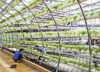 【政策解讀】權(quán)威解析“十四五”全國農(nóng)業(yè)農(nóng)村科技發(fā)展規(guī)劃全文！