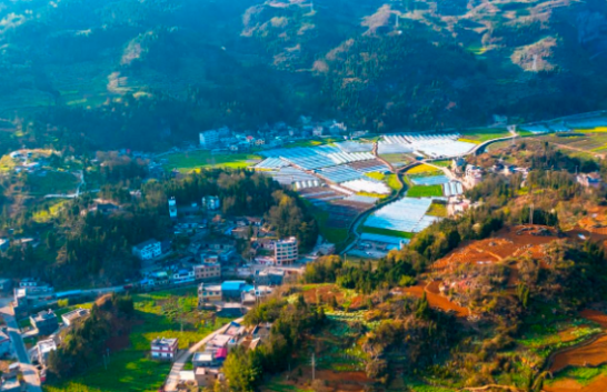 農(nóng)業(yè)產(chǎn)業(yè)周報|中糧集團、極飛科技、正邦、克明食品、牧原股份最新消息