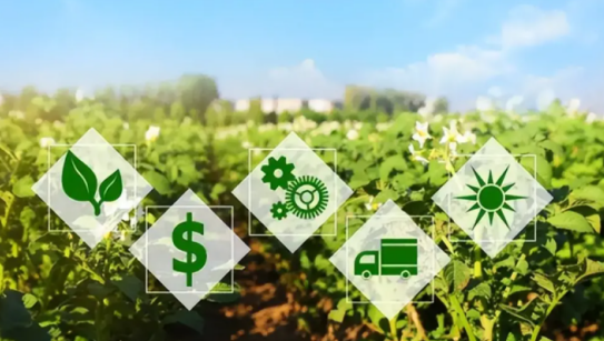 三農(nóng)日報|政策：加大實(shí)施“數(shù)商興農(nóng)”；券商：今明兩年是農(nóng)業(yè)板塊大年