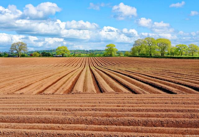 中國現(xiàn)代農(nóng)業(yè)新運(yùn)動：科技春耕！