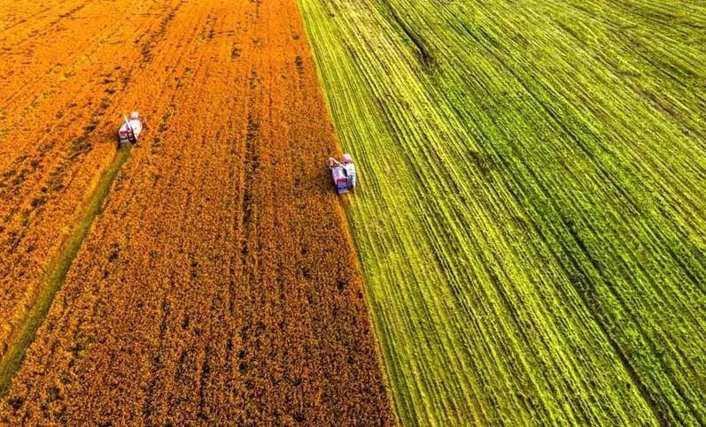 【理論高度】以中國式農業農村現代化推動農業強國建設