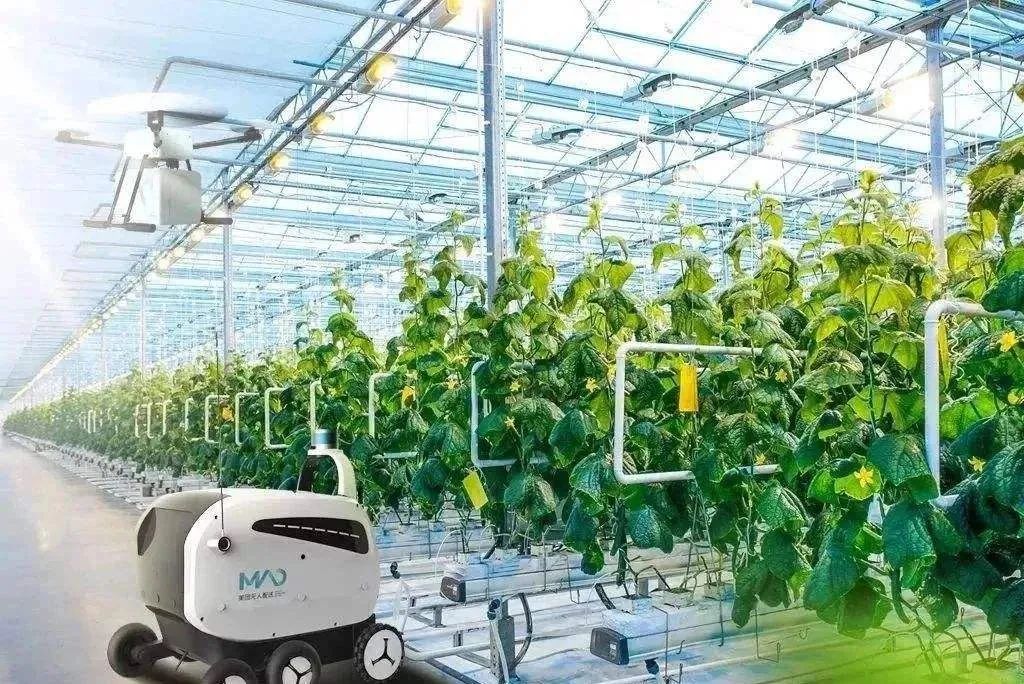 農(nóng)業(yè)行業(yè)觀察私享會(huì)｜啟醒科技宋博：機(jī)器人技術(shù)驅(qū)動(dòng)未來農(nóng)業(yè)發(fā)展