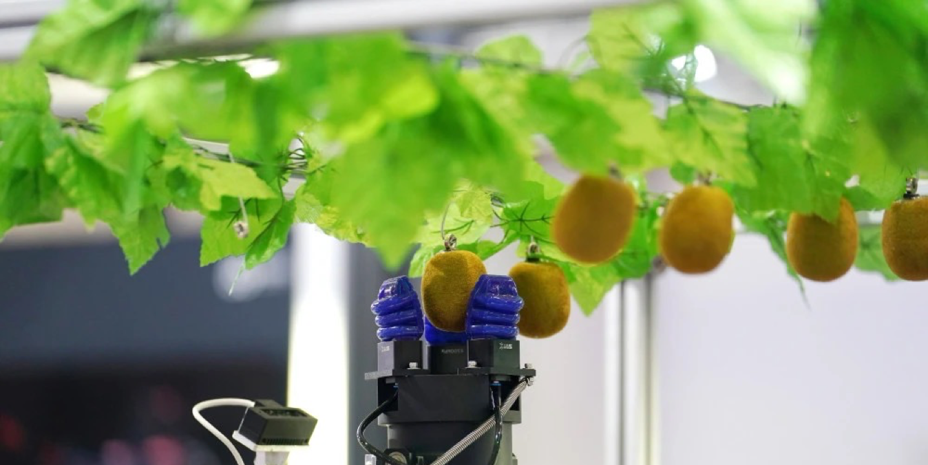 【農(nóng)業(yè)科技】農(nóng)業(yè)采摘機(jī)器人發(fā)展現(xiàn)狀