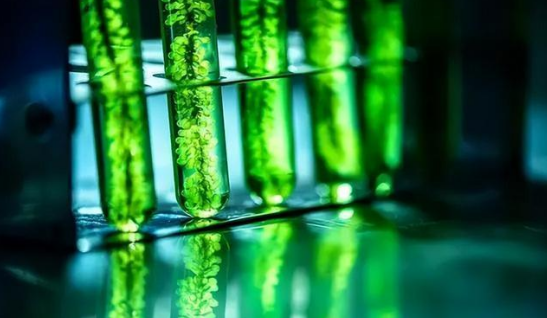 三農(nóng)日?qǐng)?bào)|政策：支持北斗智能農(nóng)機(jī)應(yīng)用；海南：推出首家“農(nóng)服超市”