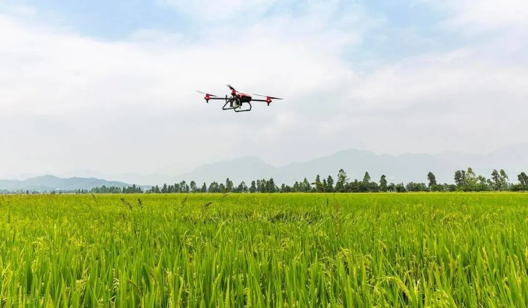 深度解讀如何加快發(fā)展農(nóng)業(yè)新質(zhì)生產(chǎn)力