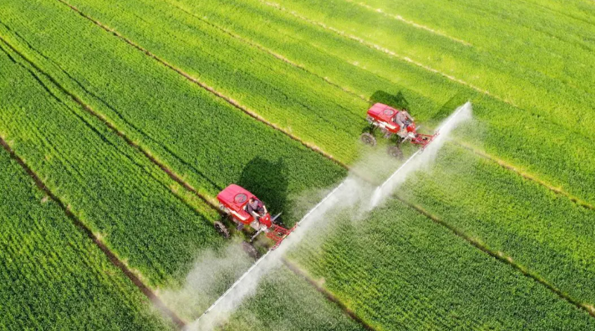 農(nóng)業(yè)企業(yè)為何發(fā)力農(nóng)業(yè)服務(wù)？無奈還是自救，未來又靠什么突破