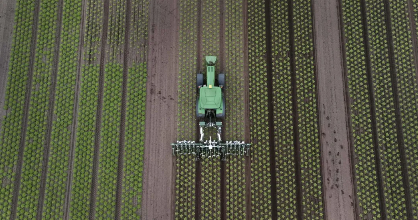 設施蔬菜生產機器人技術進展、挑戰與趨勢