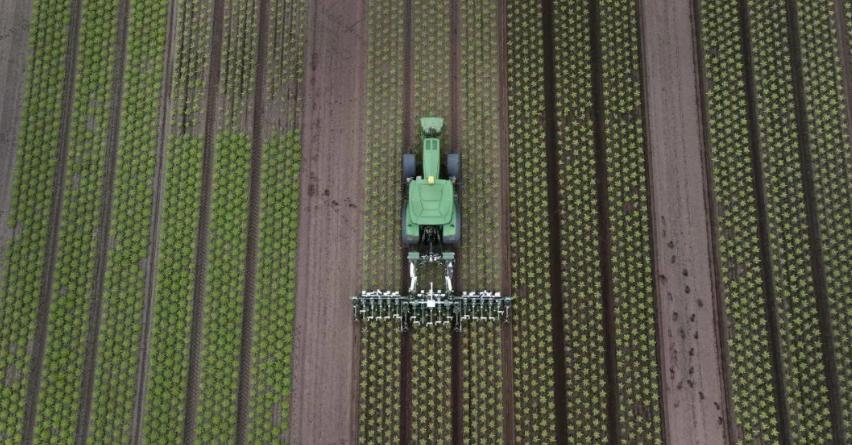 設施蔬菜生產機器人技術進展、挑戰與趨勢