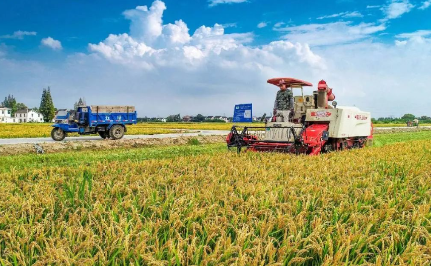 農業科技正當時！《加快建設農業強國規劃（2024－2035年）》正式發布