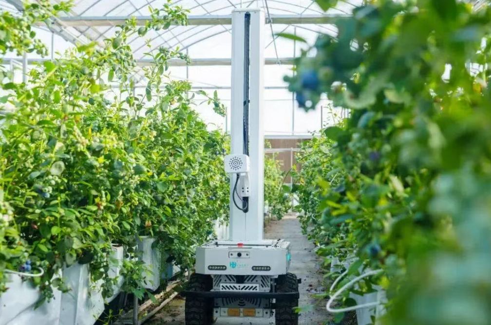 未來已來！農業機器人的發展現狀及趨勢