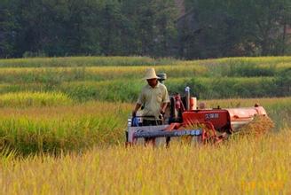 分析|中國農機工業特點及存在問題