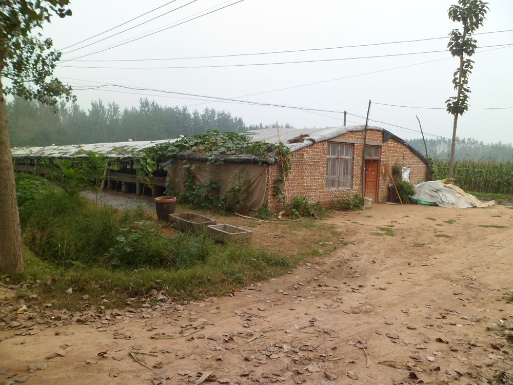 2017環保高壓政策要繼續！散戶將被淘汰，養殖大戶迎來春天