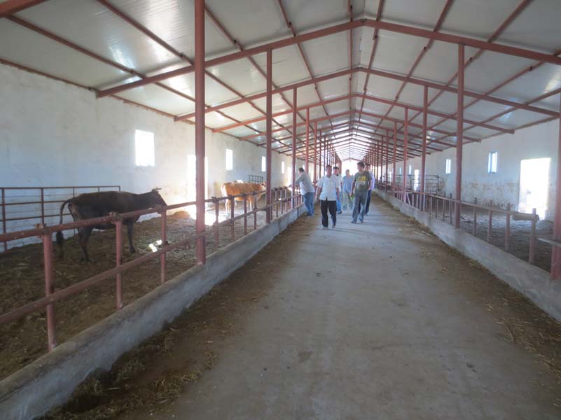 速看！養(yǎng)殖大戶賺錢(qián)之道（附經(jīng)營(yíng)案例）