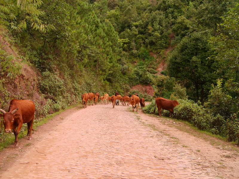 2017國家給養殖戶發補貼紅包！但有些養殖戶日子將會更難過