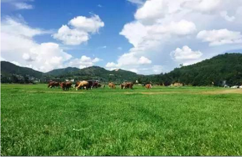 2017養(yǎng)殖業(yè)補貼來了，最高170萬！看看你能領到多少？