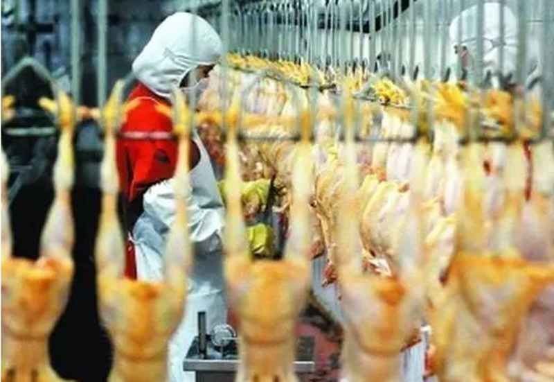 養(yǎng)殖業(yè)流通或破局：開生鮮門店，這不是溫氏最后一招！