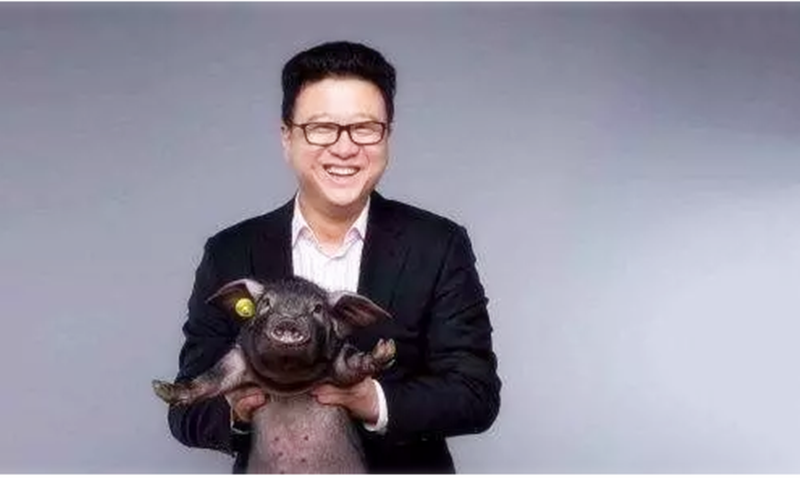 原創|從丁磊養豬看做農業：耐心與心機缺一不可