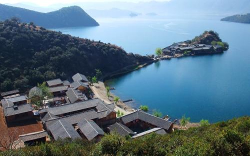 規模化養殖環節中最關鍵的一項，不這樣做你要損失很多錢