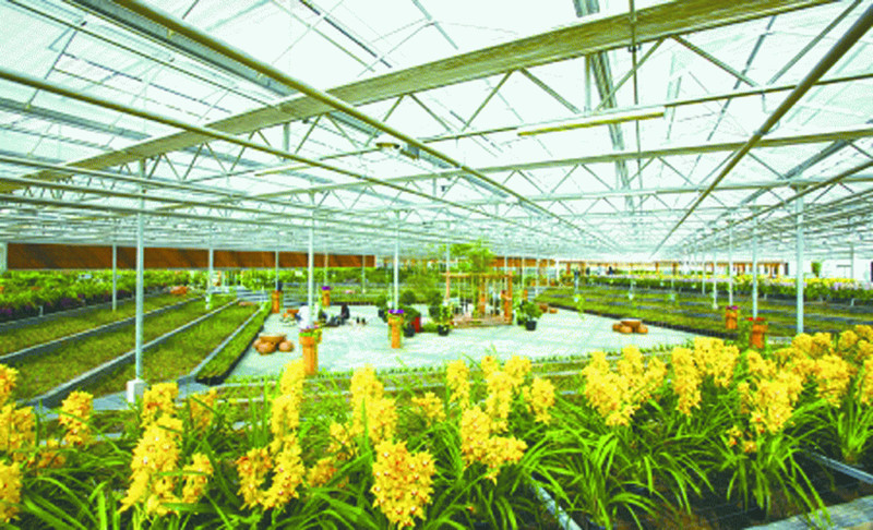  盲目禁養！野蠻拆遷！納稅標準！一文了解最新環保動態！