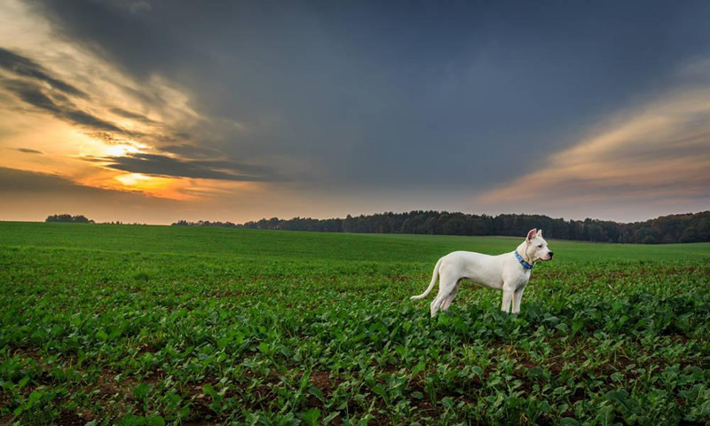 散戶的“游擊戰(zhàn)法”，或許是時候改一改了