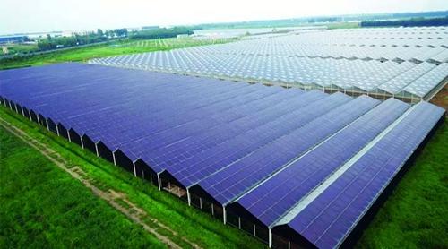 創(chuàng)業(yè)小黑板|光伏+養(yǎng)驢：養(yǎng)殖模式新探索