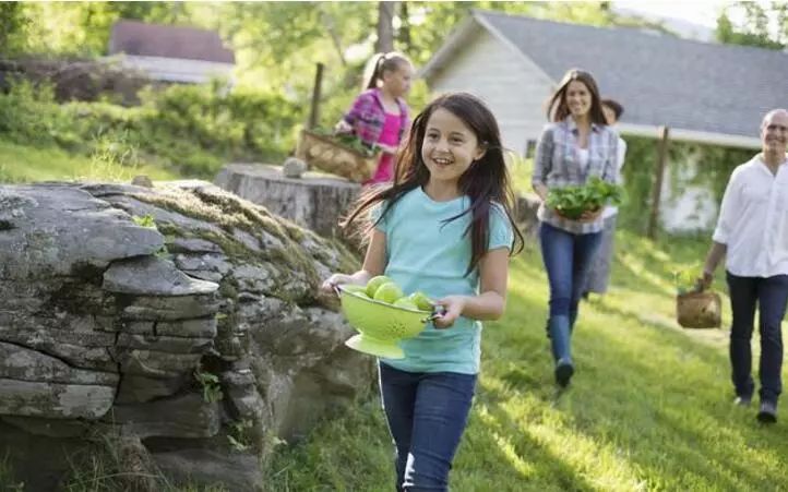 案例剖析|從農場免費認領，看賺錢5大猜想（可復制）