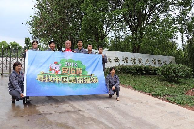 尋找美麗豬場(chǎng)：走豬場(chǎng)第十五站—供港活大豬養(yǎng)殖企業(yè)（江西諸信）